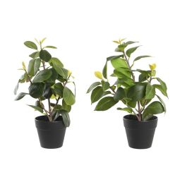 Planta Decorativa DKD Home Decor Verde PP PE Ficus (2 Unidades) (21 x 18 x 30 cm) Precio: 16.98999962. SKU: B18VJSLJA7