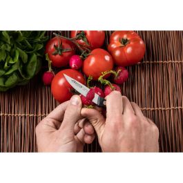 Arcos Cuchillo Mondador Serie Universal 75 mm, Acero Nitrum, Mango Antibacteriano Bactiproof Silver, Remaches Inoxidables