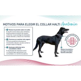 Collar para Perro Company of Animals Turquesa Precio: 18.4404. SKU: B13AR3MEDV