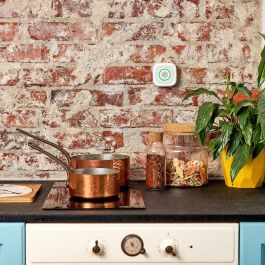 Shelly Detector Gas natural