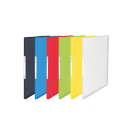 Carpeta Fundas (Tarifario) Esselte Pp Flexible A4 40 F. Col. Surt. Precio: 6.9900006. SKU: B1KF46VNVJ