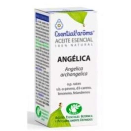 ESENTIAL AROMS Aceite Esencial Raíz de Angélica 100% Natural 5ml Precio: 36.49999969. SKU: B18AL44BEL