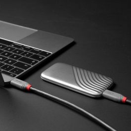 Lindy Cable USB 4 Tipo C a C, Anthra Line, 2m, 240W, 40Gbps, para 8K/Dual 4K