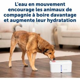 Petsafe PET0729849179233 Fuente de agua VIVA 4,1 L Blanco