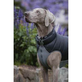Red Dingo Abrigo Puffer Acolchado Reversible Negro-Gris 25cm para Perro, con Panel de Neopreno y Ribetes Reflectantes de Seguridad