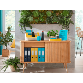 Organizadores Leitz Amarillo Plástico