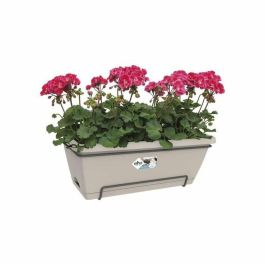Elho Allin1 55 Jardinera Barcelona XL rectangular de plástico taupe 18L con drenaje para balcón y exterior