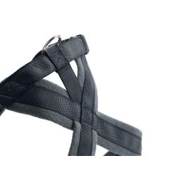 Arnés London Comfort Pecho 39-47 cm XS-S Antracita Arnés London Comfort Pecho 39-47 cm XS-S Antracita