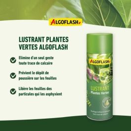 Algoflash Pulimento Brillo Plantas Verdes 250 ml