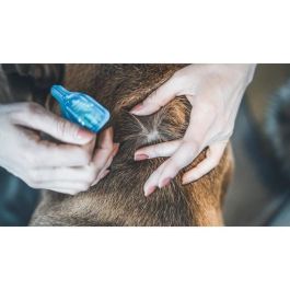 Vetocanis Pipeta Action Duo Spot-on Repelente de Pulgas y Garrapatas para Perros Grandes - Juego de 2 Pipetas Antiparasitarias Vetocanis Pipeta Action Duo Spot-on Repelente de Pulgas y Garrapatas para Perros Grandes - Juego de 2 Pipetas Antiparasitarias