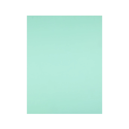 Liderpapel Cartulina 50x65 cm 240g/m2 Verde