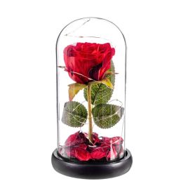 Caison Rosa roja eterna con leds y cúpula de cristal 20 cm Precio: 15.49999957. SKU: B18RMB8YJJ