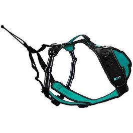 Arnés para perros - SYMBIOZ - XL - Negro / Azul Arnés para perros - SYMBIOZ - XL - Negro / Azul