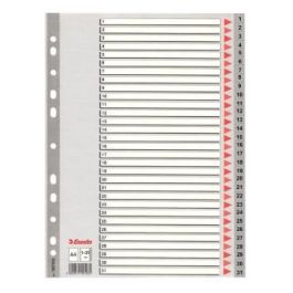 Esselte Índice Numérico Multitaladro 1-31 Polipropileno A4 gris Con Carátula Índice Cartón Color Precio: 7.49999987. SKU: B1ERFNMTGF