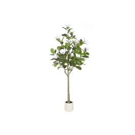 DKD Home Decor Árbol Oriental Magnolio Blanco Verde 70 x 180 x 70 cm PE/PP (2 Unidades) Precio: 191.50000023. SKU: B142QN2TJW