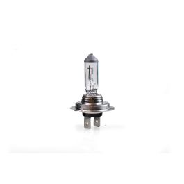 M-Tech MTECZ907 Lámpara Halógena H7 PX26d 24V 70W Pack 10 Unidades con Vidrio Cuarzo Templado, Alta Durabilidad, Homologación E4 M-Tech MTECZ907 Lámpara Halógena H7 PX26d 24V 70W Pack 10 Unidades con Vidrio Cuarzo Templado, Alta Durabilidad, Homologación E4