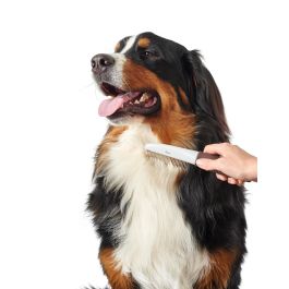 Hunter Peine de Púas Rotatorias para Perros y Gatos - Desenreda y Cuida Pelaje Largo y Medio - Antideslizante Talla M