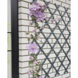 Nature NAT8711338407134 Enrejado Extensible Plástico Antracita 50 x 150 cm