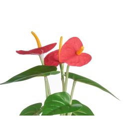 Planta Lirio Bote Metal Surtidos Ibergarden 15X34CM (12 Unidades) Planta Lirio Bote Metal Surtidos Ibergarden 15X34CM (12 Unidades)