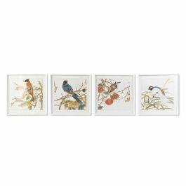 Cuadro DKD Home Decor 60 x 2,5 x 60 cm Pájaro Shabby Chic (4 Piezas) Precio: 186.49999951. SKU: S3028404
