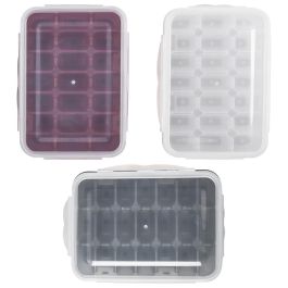 Cook Concept Molde 21 Cubitos Con Tapa