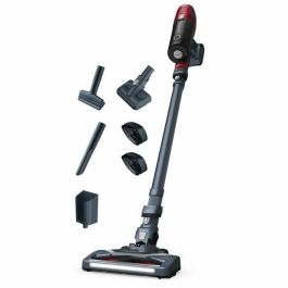 ROWENTA X-PERT 6.60 Animal Kit Aspirador vertical inalámbrico, gatillo de impulso, hasta 45 min de funcionamiento, Stop&Go, batería extraíble