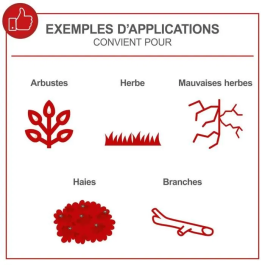 Scheppach SCH4046664285274 Desbrozadora Térmica 4 en 1 (Desbrozadora, Podadora, Cortasetos, Recortadora)