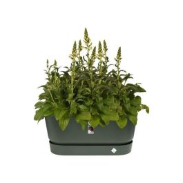 Elho Greenville Terrase 80 Ruedas Jardinera Verde Hoja L 35 x W 78 x H 33,5 cm