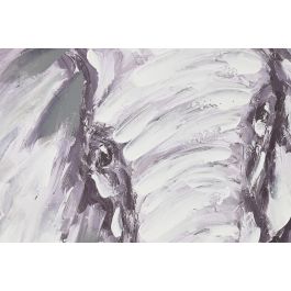 DKD Home Decor Cuadro Colonial Blanco Negro 3.5 x 100 x 100 cm (2 Unidades) Lienzo Ps Elefantes Cebra Hecho a mano