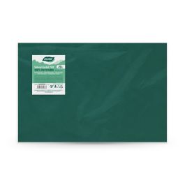 Algon Salvamantel Individual TNT - Paquete de 20 Unidades, Verde Oscuro, 30 x 46 cm (25 Unidades) Algon Salvamantel Individual TNT - Paquete de 20 Unidades, Verde Oscuro, 30 x 46 cm (25 Unidades)
