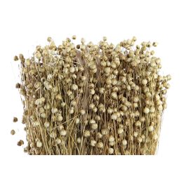 DKD Home Decor Bouquet Shabby Natural Flor Seca Tishi Linaza 12 x 31 x 12 cm (12 Unidades)