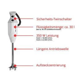 ESGE P 350 Profi Batidora de inmersión, 350 W, 2 velocidades (18000-22000 RPM), color gris y blanco, cable 1.5 m