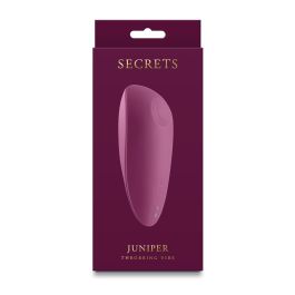 Masajeador erótico NS Novelties Secrets Rojo
