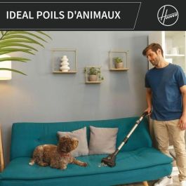 Hoover Aspirador de Bidón sin Bolsa HP321PAF - 850 W - 75 dBA - 2 L - Gris