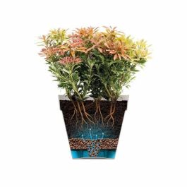 Elho ELH9203539040400 Maceta Loft Urban Redonda con Ruedas, Morada, 40 cm, Exterior, 100% Reciclada (L 39 x An 38.5 x Al 35 cm) Elho ELH9203539040400 Maceta Loft Urban Redonda con Ruedas, Morada, 40 cm, Exterior, 100% Reciclada (L 39 x An 38.5 x Al 35 cm)
