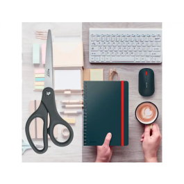 Leitz Tijeras de Oficina 20,5 cm Titanio Color Gris Oscuro