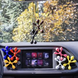 Ambientador para Coche Dr Marcus Lucky Top Frutos rojos Plástico Colgante (12 Unidades)