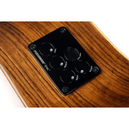 LAG Guitarra Acústica Auditorium Cutaway Tramontane 318 A/E - Natural con Electrónica Fishman Ink3