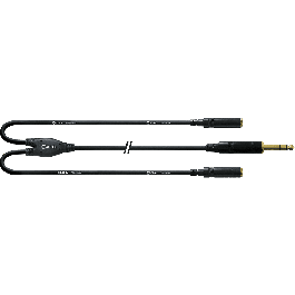 Cable Y Jack Estéreo/2 Mini-Jacks Estéreo Hembra 30 Cm Precio: 16.89000038. SKU: B1EAPVHZGS