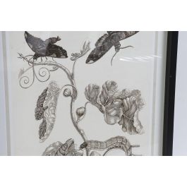 Cuadro Moderno DKD Home Decor Gris Beige 2.5 x 65 x 50 cm (6 Unidades) Cuadro Moderno DKD Home Decor Gris Beige 2.5 x 65 x 50 cm (6 Unidades)
