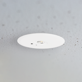 Luz de Emergencia LED Empotrable/Superficie 180LM Permanente/No Permanente 5000K Circular Ø115mm IP20 2.5W 3h Autonomía L118MN