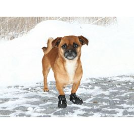 Botas Trixie Negro XS