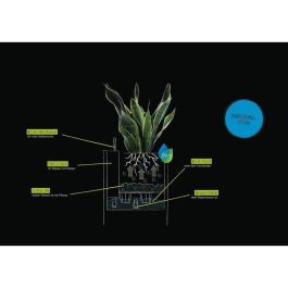 LECHUZA Jardinera Canto Color Cuadrada 40 TODO EN UNO Beige 13721