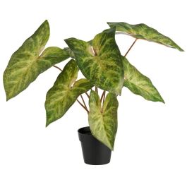 Planta Artificial Caladium Day Planta Artificial Caladium Day Precio: 9.9099. SKU: B16VXQ8H3Q
