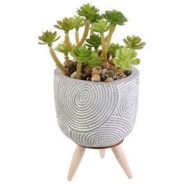 Home Deco Factory Planta Artificial Maceta Cemento D.8cm H.14,5cm