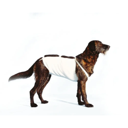 Covetrus Ligadura Abdominal Tamaño 7 64 cm, Vendas Ajustables con Velcro, 100% Algodón, para Protección Postoperatoria Precio: 11.8900001. SKU: B1H7546ED8
