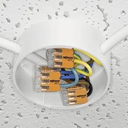 WAGO 221-412-100 Conector de Empalme Compacto Serie 221 para Cables de 4mm (100 Piezas)