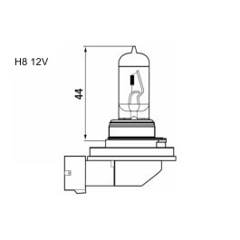 M-Tech Powertec Super White H8 12V 35W Bombilla Halógena Xenón Efecto Blanco DUO PTZSW8-DUO