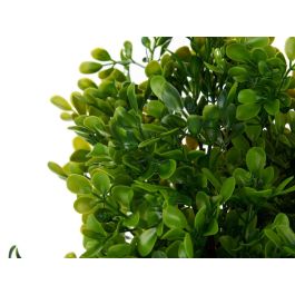 Maceta plástico negra grande Ibergarden 25x50x25 cm para plantas verdes (3 Unidades) Maceta plástico negra grande Ibergarden 25x50x25 cm para plantas verdes (3 Unidades)
