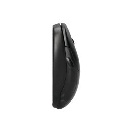 Raton Q-Connect Optico 800 Dpi Usb 1,5 grhz Negro